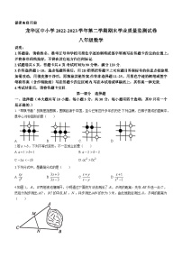 广东省深圳市龙华区2022-2023学年八年级下学期期末数学试题（含答案）