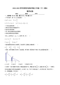 广东省深圳市外国语学校2022-2023学年八年级下学期期末数学试题（含答案）