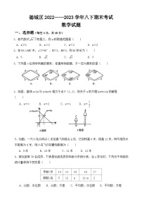 山东德州德城区2022-2023学年八年级下学期期末考试数学试卷（含答案）