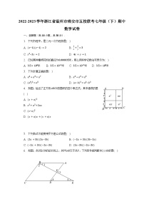 2022-2023学年浙江省温州市瑞安市五校联考七年级（下）期中数学试卷（含解析）