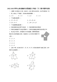 2022-2023学年山东省德州市武城县八年级（下）期中数学试卷（含解析）