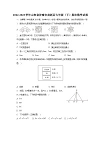 2022-2023学年山东省济南市高新区七年级（下）期末数学试卷（含解析）