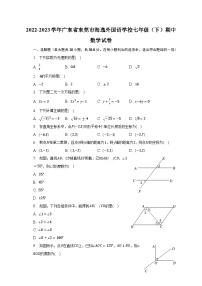 2022-2023学年广东省东莞市海逸外国语学校七年级（下）期中数学试卷（含解析）