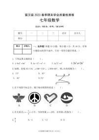 2023年【七年级下册数学】期末考试真题 含答案