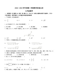 广东省东莞市2022-2023学年七年级下学期7月期末数学试题(含答案)