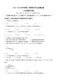 广东省云浮市2022-2023学年七年级下学期7月期末数学试题（含答案）