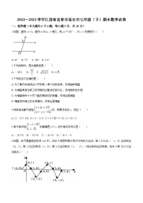 江西省宜春市高安市2022-2023学年七年级下学期期末数学试题（含答案）