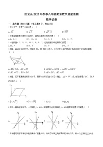 湖北省黄冈市红安县2022-2023学年八年级下学期期末数学试题（含答案）