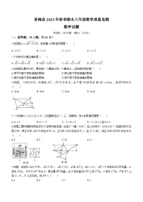 湖北省黄冈市黄梅县2022-2023学年八年级下学期期末数学试题（含答案）