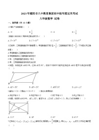 湖南省衡阳市八中教育集团2022-2023学年八年级下学期期末数学试题（含答案）