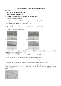 湖南省益阳市安化县2022-2023学年八年级下学期6月期末数学试题（含答案）