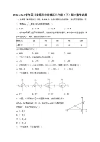 四川省绵阳市涪城区2022-2023学年八年级下学期期末数学试卷（含答案）