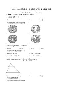 重庆市第一中学校2022-2023学年八年级下学期期末数学试卷（含答案）