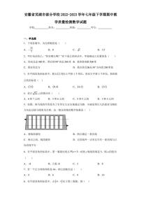 安徽省芜湖市部分学校2022-2023学年七年级下学期期中教学质量检测数学试题（含答案解析）