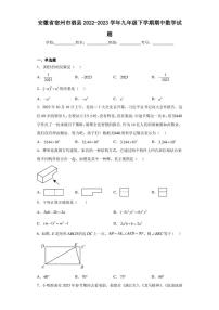 安徽省宿州市泗县2022-2023学年九年级下学期期中数学试题（含答案解析）