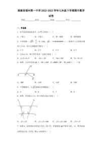 福建省福州第一中学2022-2023学年七年级下学期期中数学试卷（含答案解析）