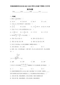 河南省南阳市内乡县2022-2023学年七年级下学期3月月考数学试题（含答案解析）