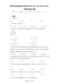 海南省省直辖县级行政单位东方市2022-2023学年九年级上学期期末数学试题