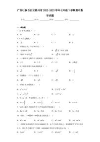 广西壮族自治区梧州市2022-2023学年七年级下学期期中数学试题（含答案解析）