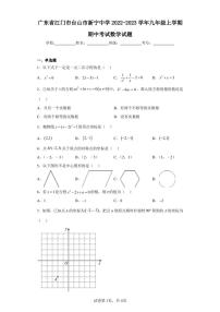 广东省江门市台山市新宁中学2022-2023学年九年级上学期期中考试数学试题