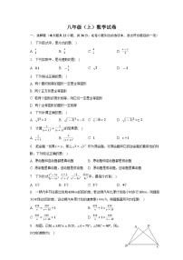 河北省石家庄市栾城区2022-2023学年八年级上学期期中水平测试数学试卷