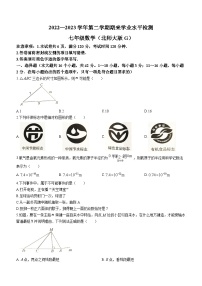 河北省保定市高碑店市2022-2023学年七年级下学期7月期末数学试题