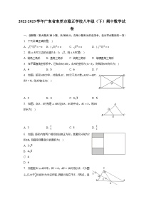 2022-2023学年广东省东莞市雅正学校八年级（下）期中数学试卷（含解析）