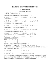 安徽省池州市东至县2022-2023学年八年级下学期期末数学试题（含答案）