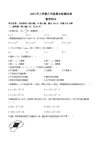 湖南省长沙市雅礼教育集团2022-2023+学年八年级下学期期末数学试题（含答案）