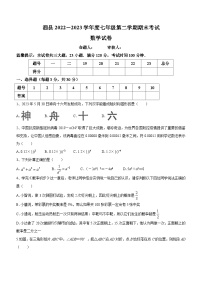 安徽省宿州市泗县2022-2023学年七年级下学期期末数学试题（含答案）