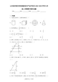 山东省济南市济南高新技术产业开发区2022-2023学年九年级上学期期中数学试题