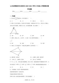 山东省聊城市东昌府区2020-2021学年八年级上学期期末数学试题