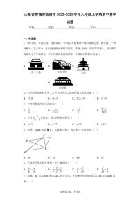 山东省聊城市临清市2022-2023学年八年级上学期期中数学试题