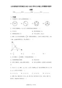 山东省临沂市莒南县2022-2023学年九年级上学期期中数学试题