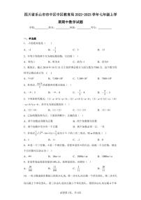 四川省乐山市市中区中区教育局2022-2023学年七年级上学期期中数学试题