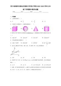 四川省绵阳市游仙区绵阳中学英才学校2022-2023学年九年级下学期期中数学试题（含答案解析）