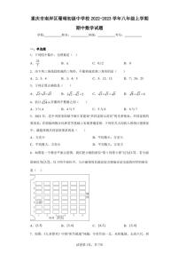 重庆市南岸区珊瑚初级中学校2022-2023学年八年级上学期期中数学试题