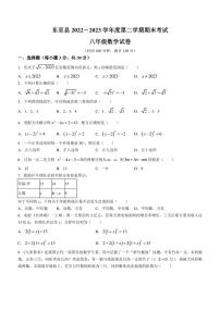 安徽省池州市东至县2022-2023学年八年级下学期期末数学试题（含答案）