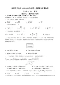 安徽省池州市贵池区2022-2023学年八年级下学期期末数学试题（含答案）