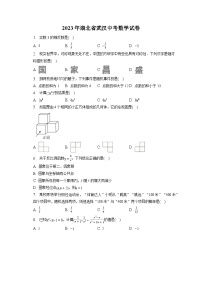 2023年湖北省武汉中考数学试卷(含答案解析)