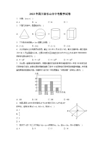 2023年四川省乐山市中考数学试卷（含答案解析）