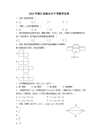 2023年浙江省丽水市中考数学试卷(含答案解析)