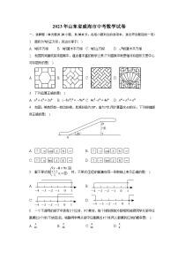 2023年山东省威海市中考数学试卷（含解析）