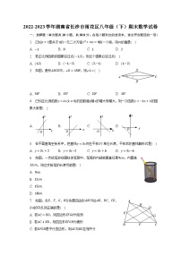 2022-2023学年湖南省长沙市雨花区八年级（下）期末数学试卷（含解析）