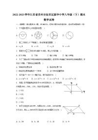 2022-2023学年江苏省苏州市姑苏区振华中学八年级（下）期末数学试卷（含解析）