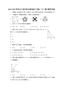 2022-2023学年辽宁省丹东市宽甸县八年级（下）期中数学试卷（含解析）