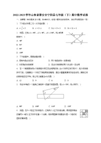 2022-2023学年山东省泰安市宁阳县七年级（下）期中数学试卷（含解析）