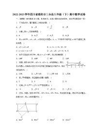 2022-2023学年四川省绵阳市三台县八年级（下）期中数学试卷（含解析）