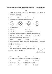 2022-2023学年广东省东莞市雅正学校九年级（下）期中数学试卷（含解析）