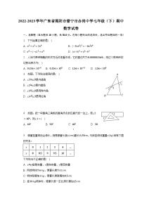 2022-2023学年广东省揭阳市普宁市赤岗中学七年级（下）期中数学试卷（含解析）